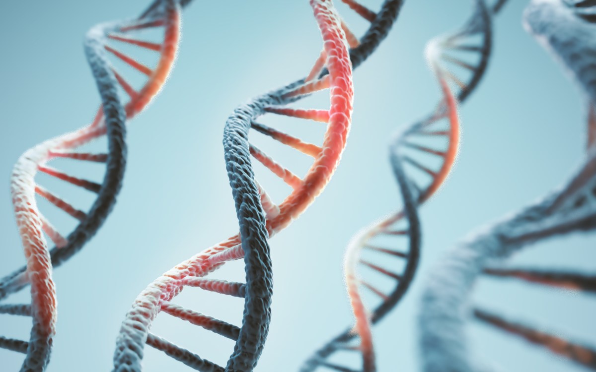 Anthropic opera laboratório próprio para experimentos de biologia com IA